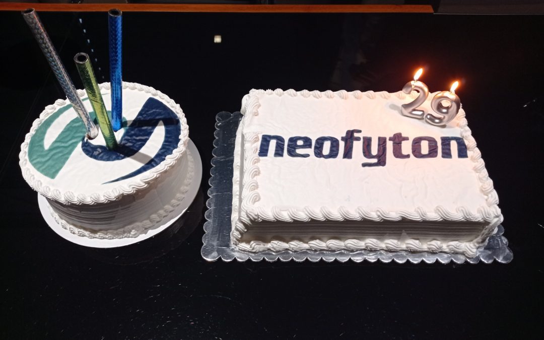 29th birthday of Neofyton company